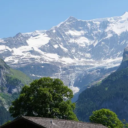 Eigerview 아파트 그린델발트