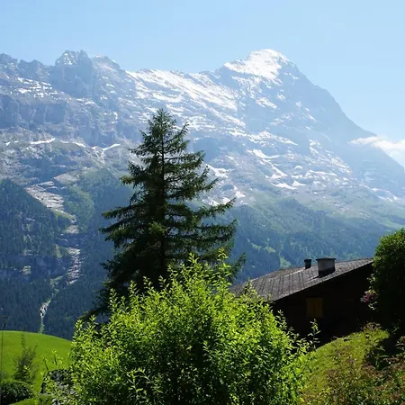 Appartement Eigerview Grindelwald